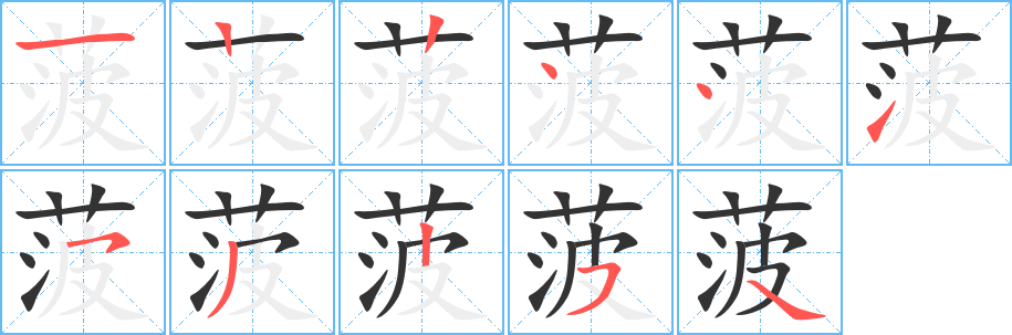 菠字的笔顺分布演示