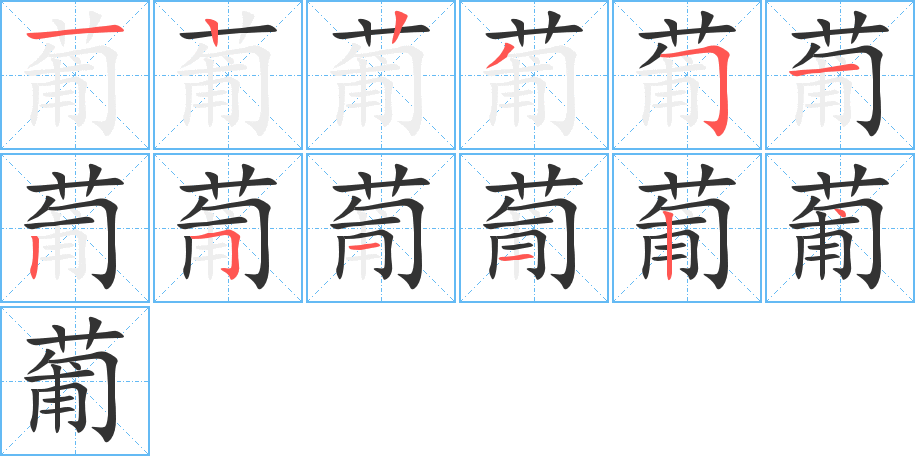 葡字的笔顺分布演示