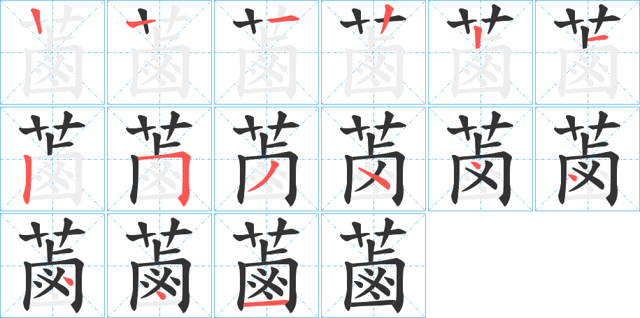 蓾字的笔顺分布演示