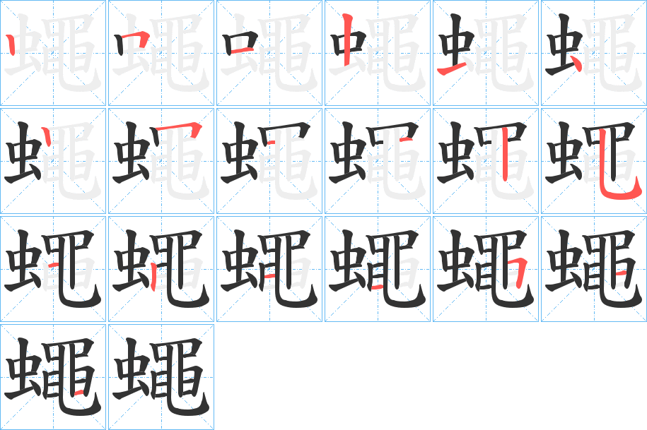 蠅字的笔顺分布演示