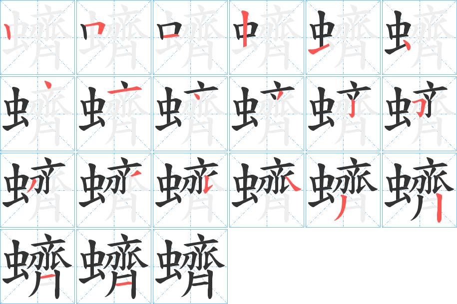 蠐字的笔顺分布演示