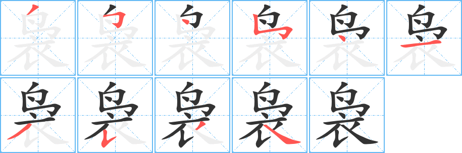 袅字的笔顺分布演示