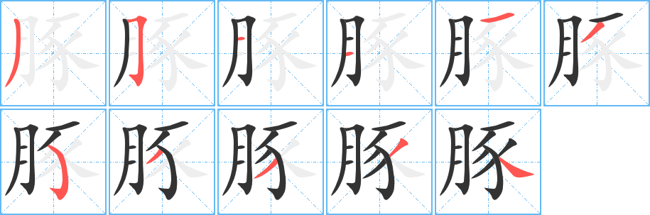 豚字的笔顺分布演示