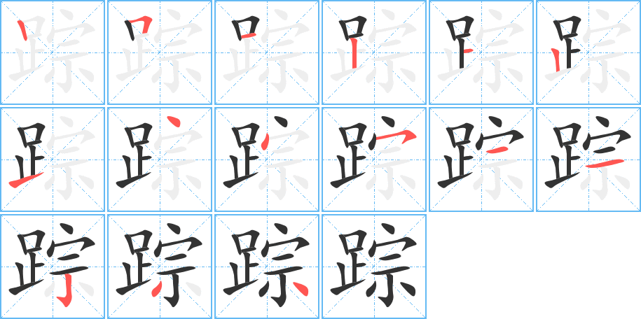 踪字的笔顺分布演示