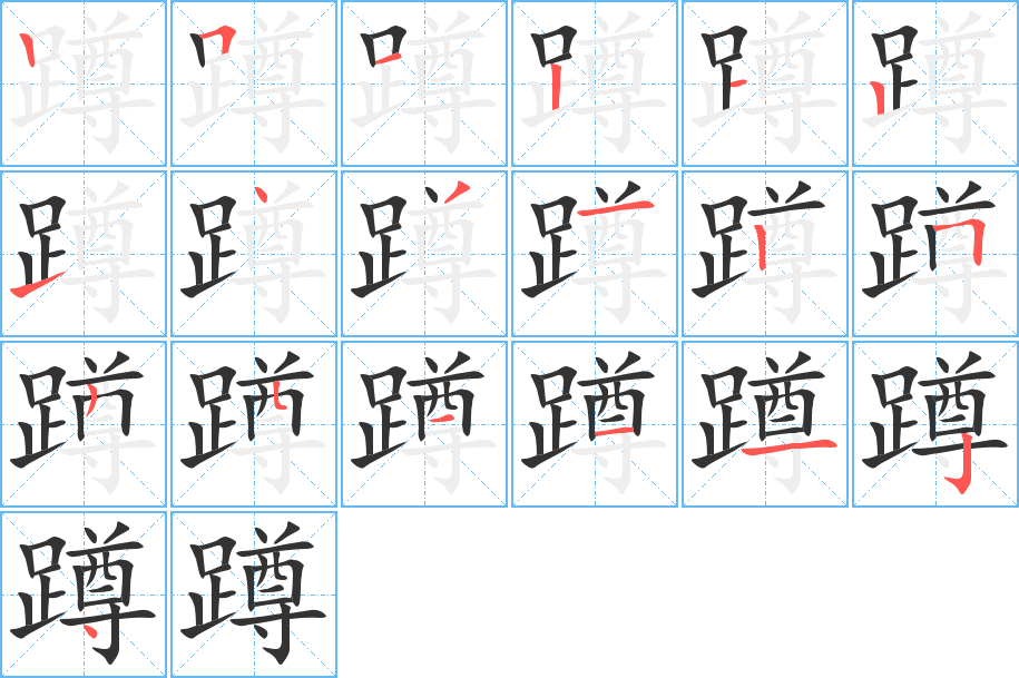 蹲字的笔顺分布演示