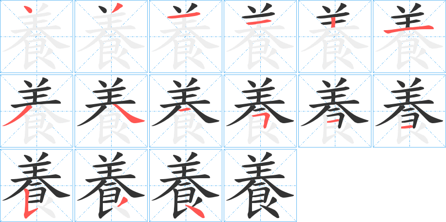 養字的笔顺分布演示