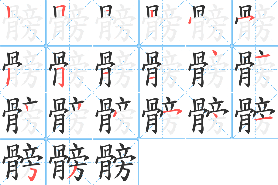 髈字的笔顺分布演示