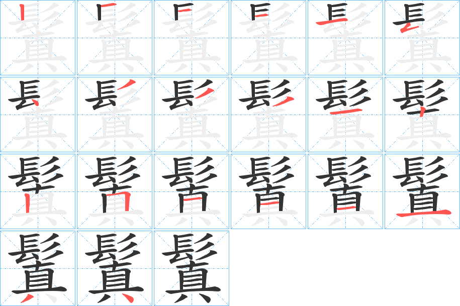 鬒字的笔顺分布演示