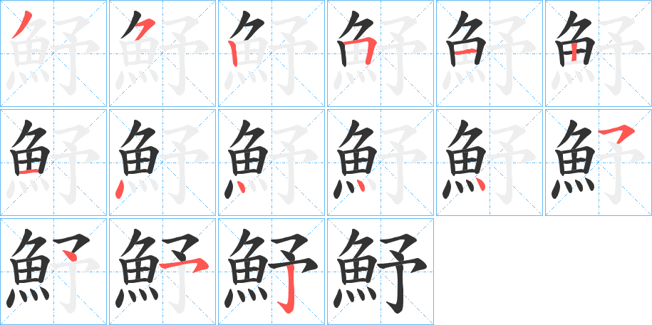 魣字的笔顺分布演示