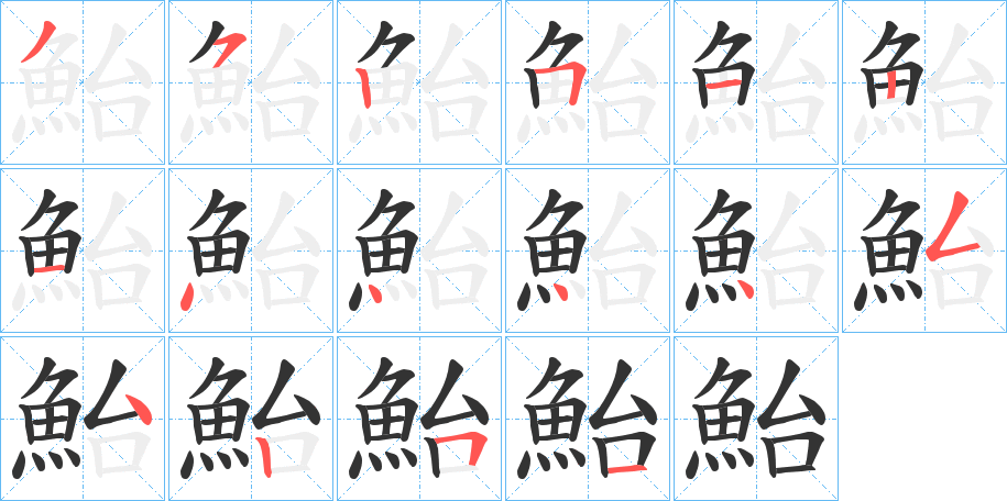 鮐字的笔顺分布演示