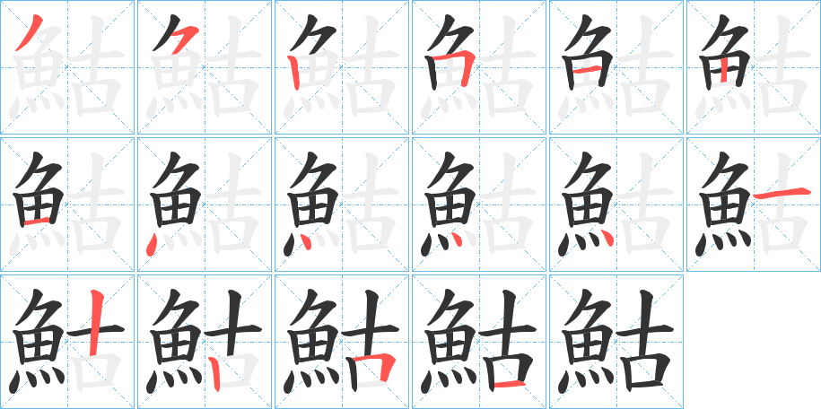 鮕字的笔顺分布演示