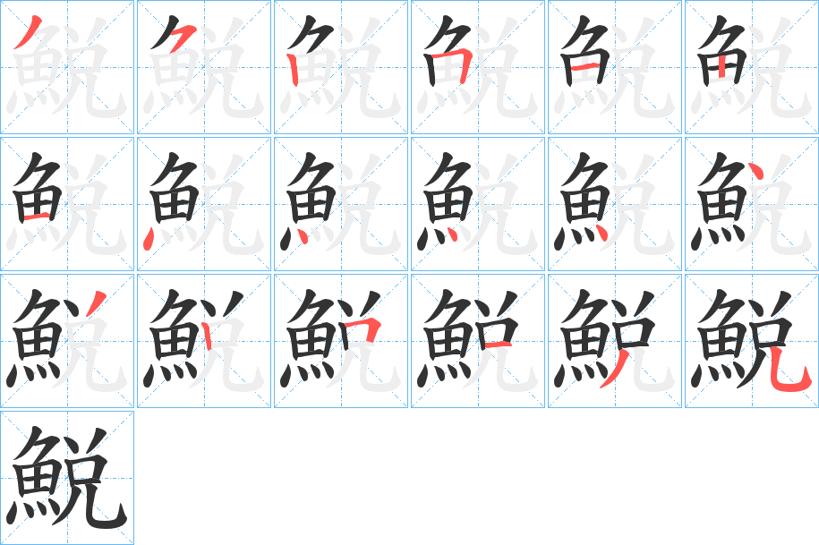 鮵字的笔顺分布演示