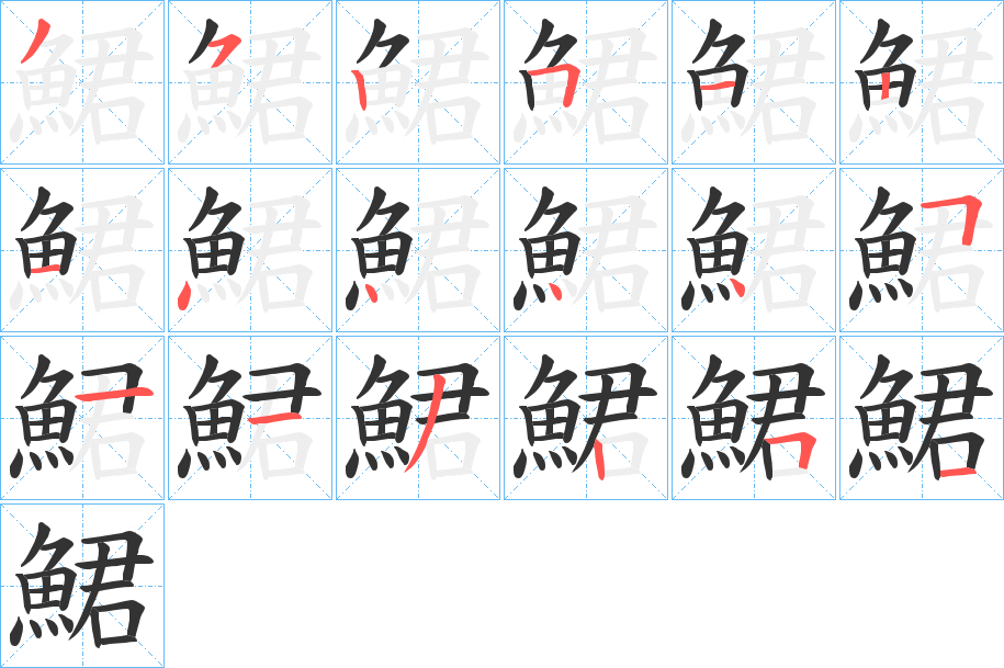 鮶字的笔顺分布演示