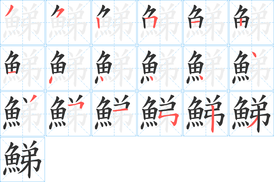 鮷字的笔顺分布演示