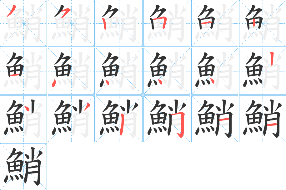 鮹字的笔顺分布演示