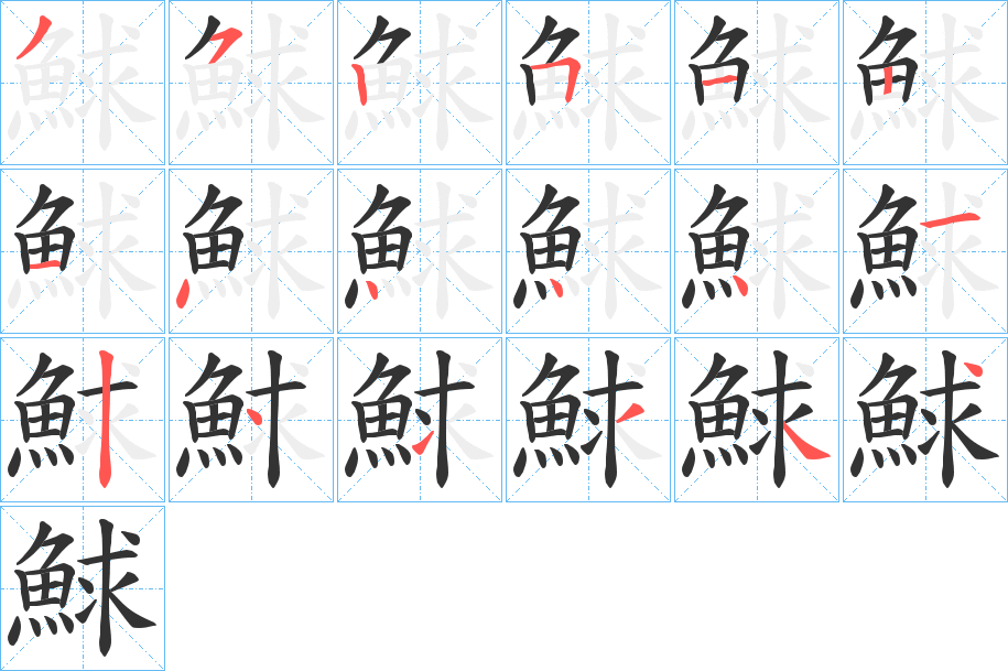 鯄字的笔顺分布演示