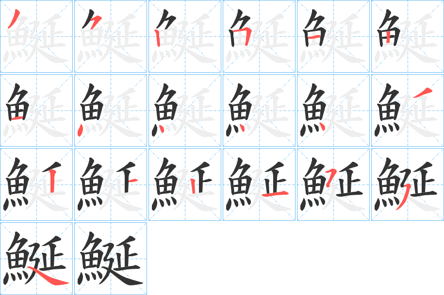 鯅字的笔顺分布演示