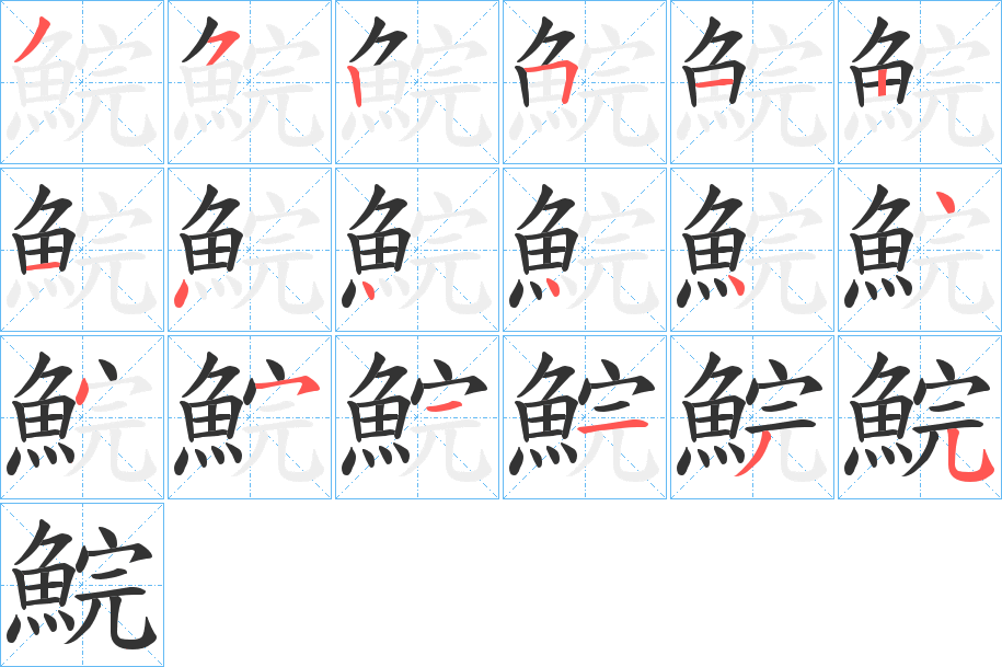 鯇字的笔顺分布演示