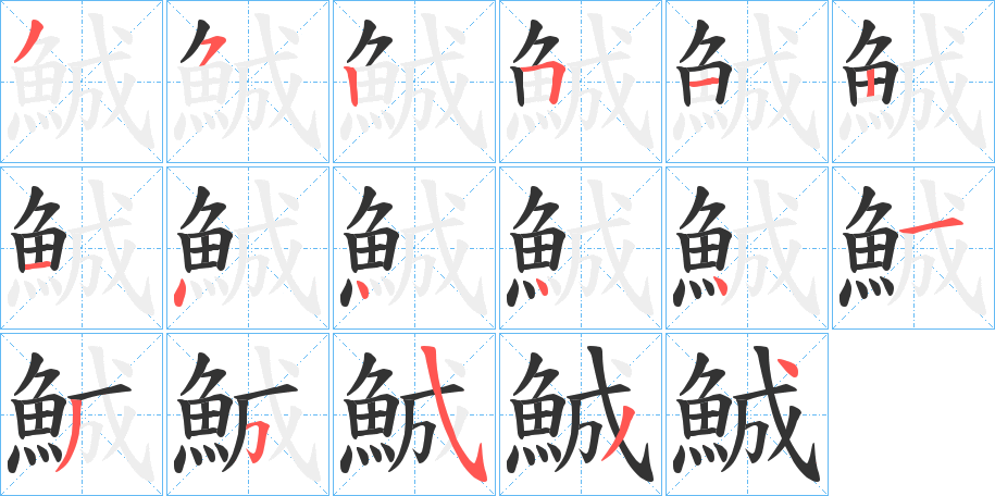 鯎字的笔顺分布演示