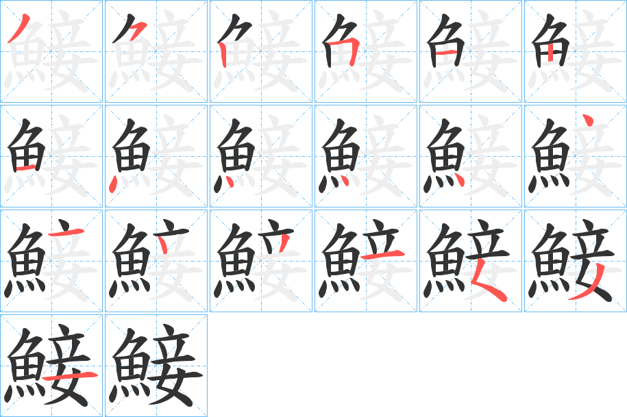 鯜字的笔顺分布演示