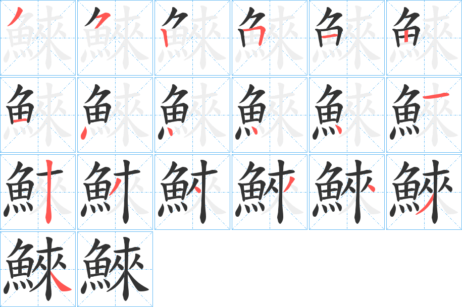 鯠字的笔顺分布演示