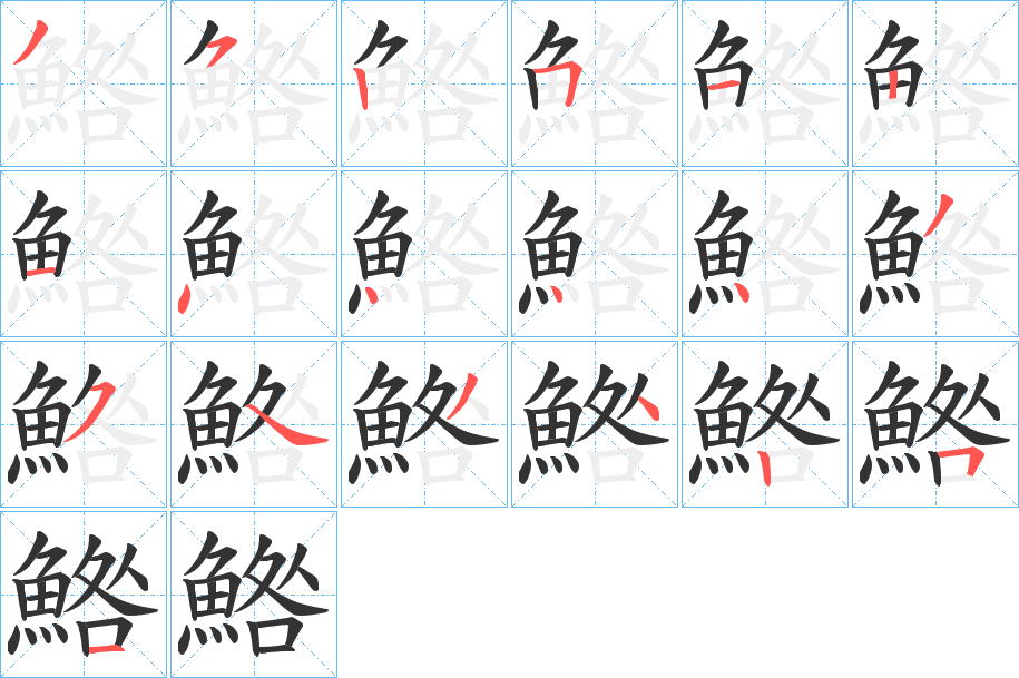 鯦字的笔顺分布演示