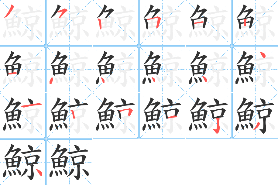 鯨字的笔顺分布演示