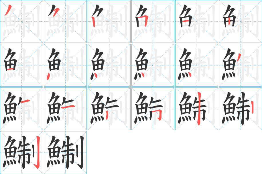 鯯字的笔顺分布演示