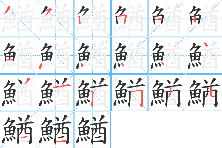 鰌字的笔顺分布演示