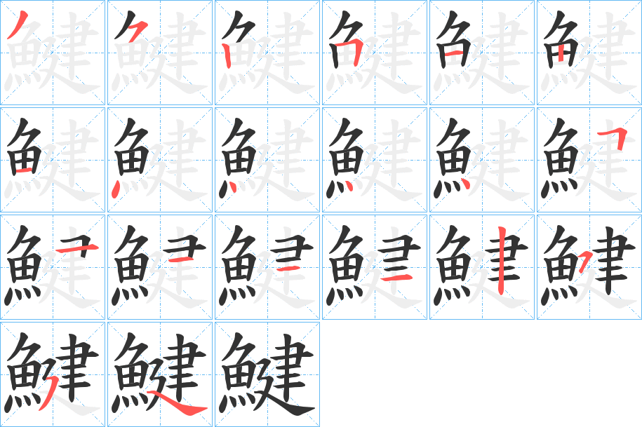 鰎字的笔顺分布演示