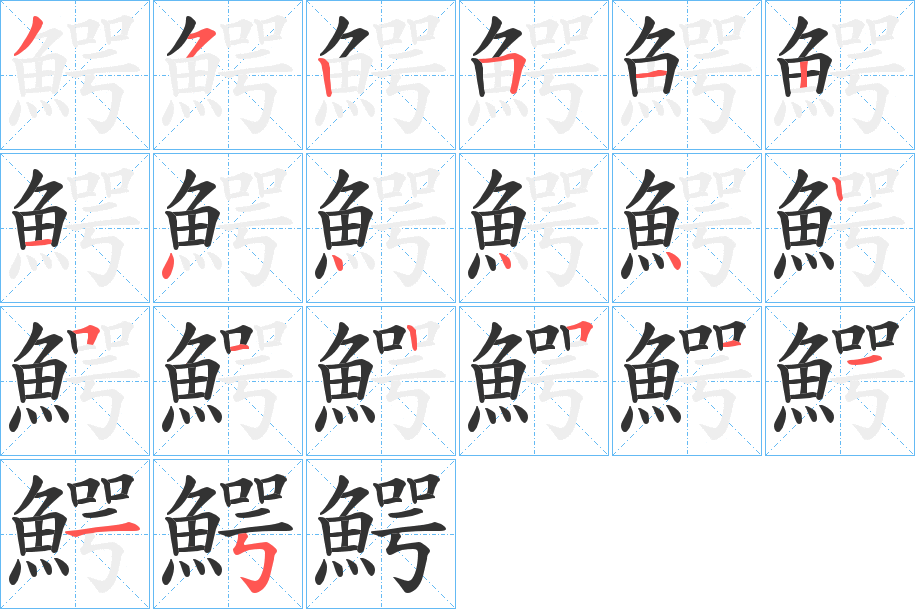 鰐字的笔顺分布演示