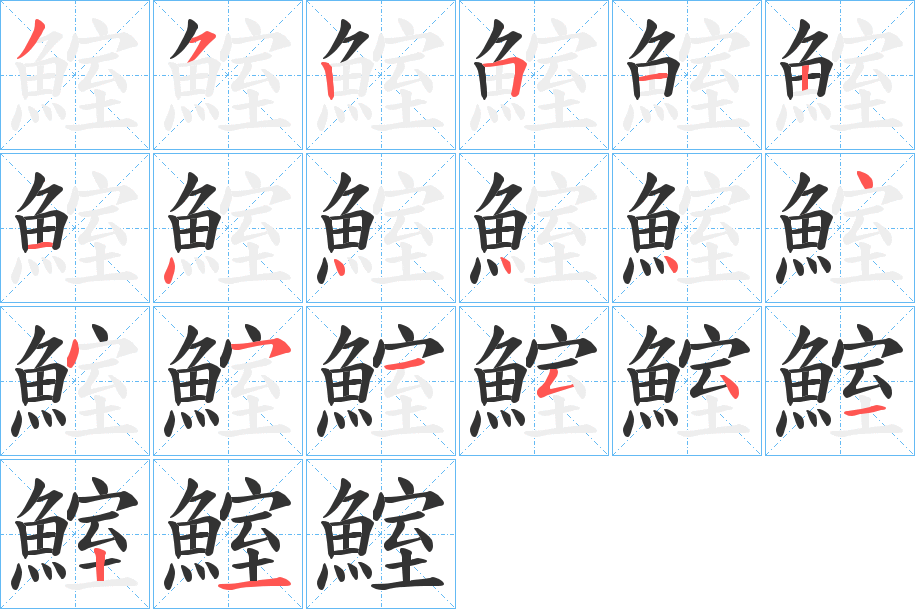 鰘字的笔顺分布演示