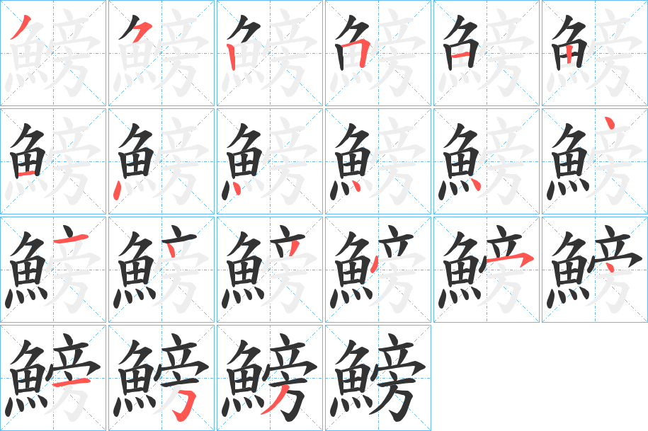 鰟字的笔顺分布演示