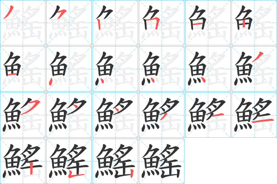 鰩字的笔顺分布演示