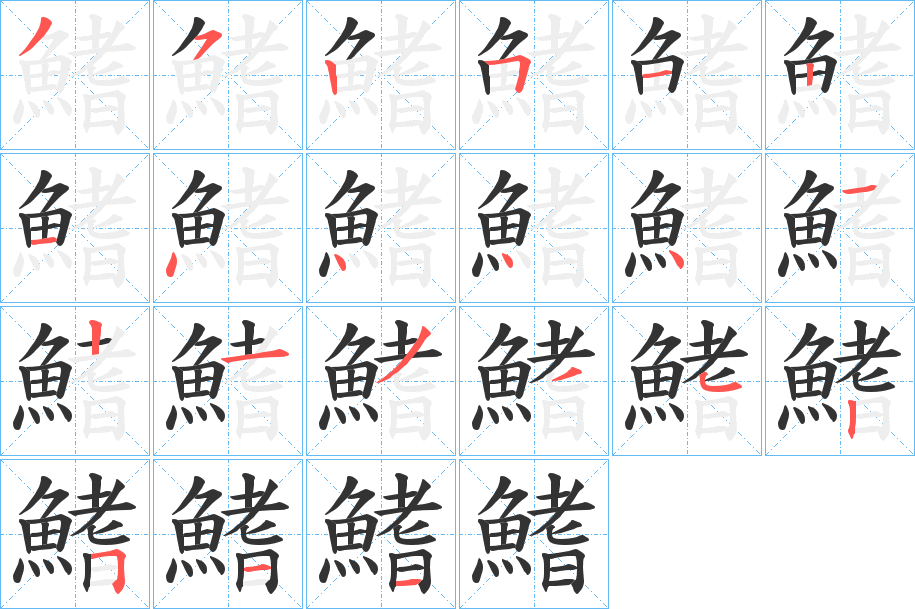 鰭字的笔顺分布演示