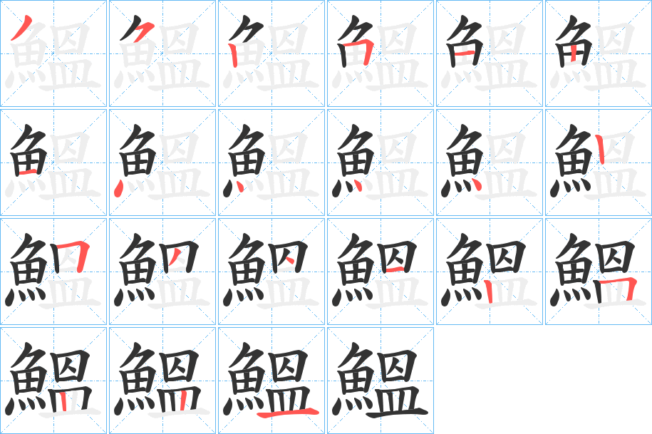 鰮字的笔顺分布演示