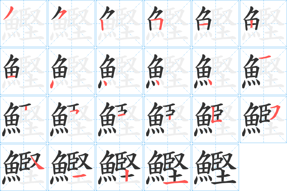 鰹字的笔顺分布演示