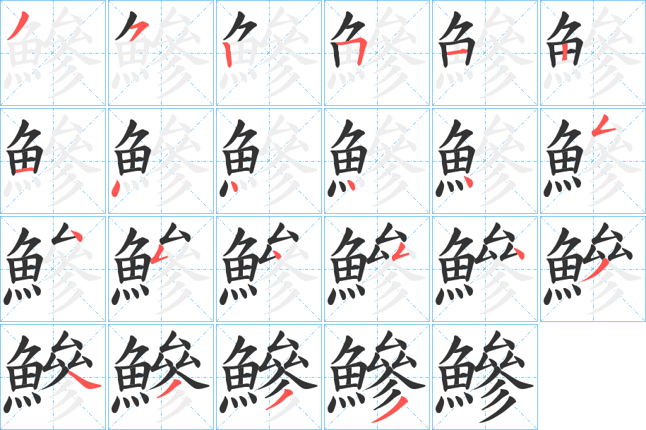 鰺字的笔顺分布演示