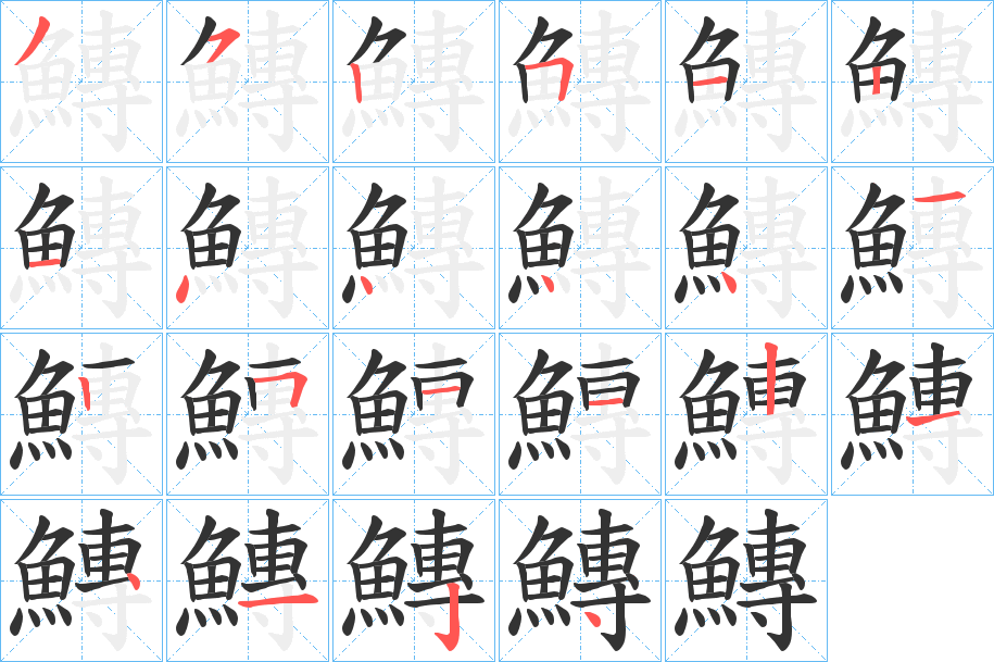 鱄字的笔顺分布演示