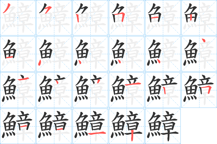 鱆字的笔顺分布演示