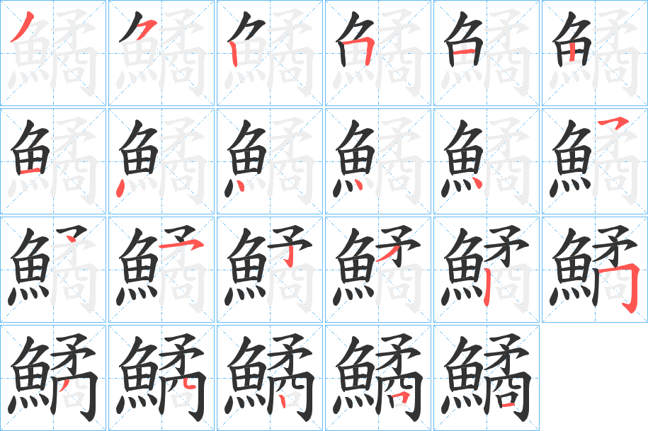 鱊字的笔顺分布演示