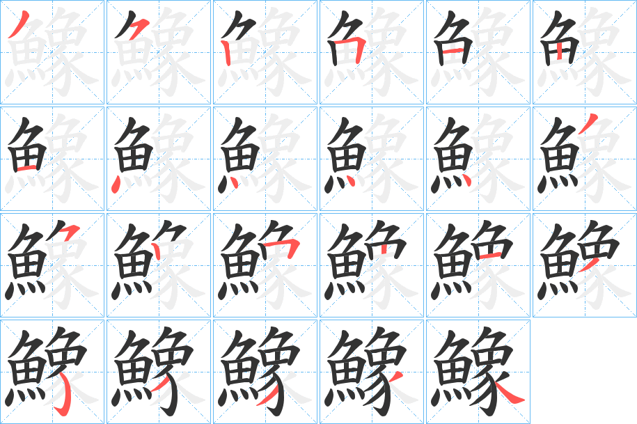 鱌字的笔顺分布演示