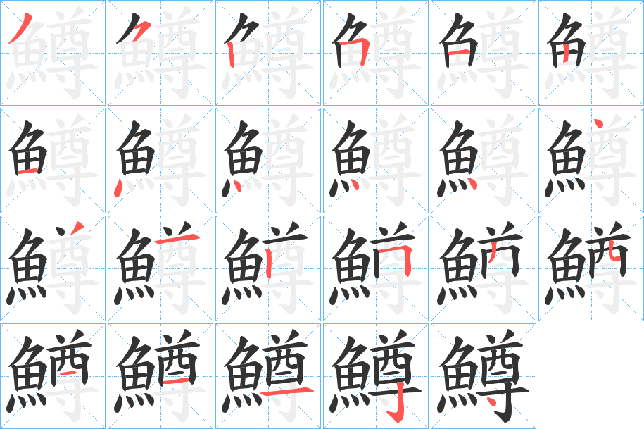 鱒字的笔顺分布演示