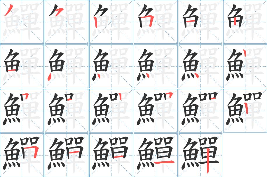 鱓字的笔顺分布演示