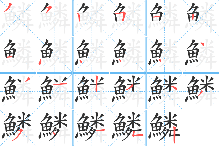 鱗字的笔顺分布演示