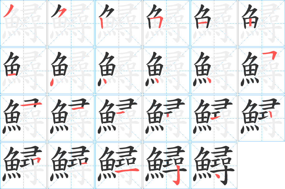 鱘字的笔顺分布演示