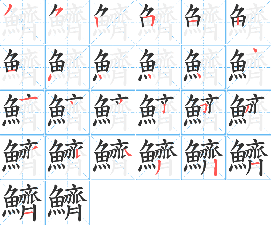 鱭字的笔顺分布演示