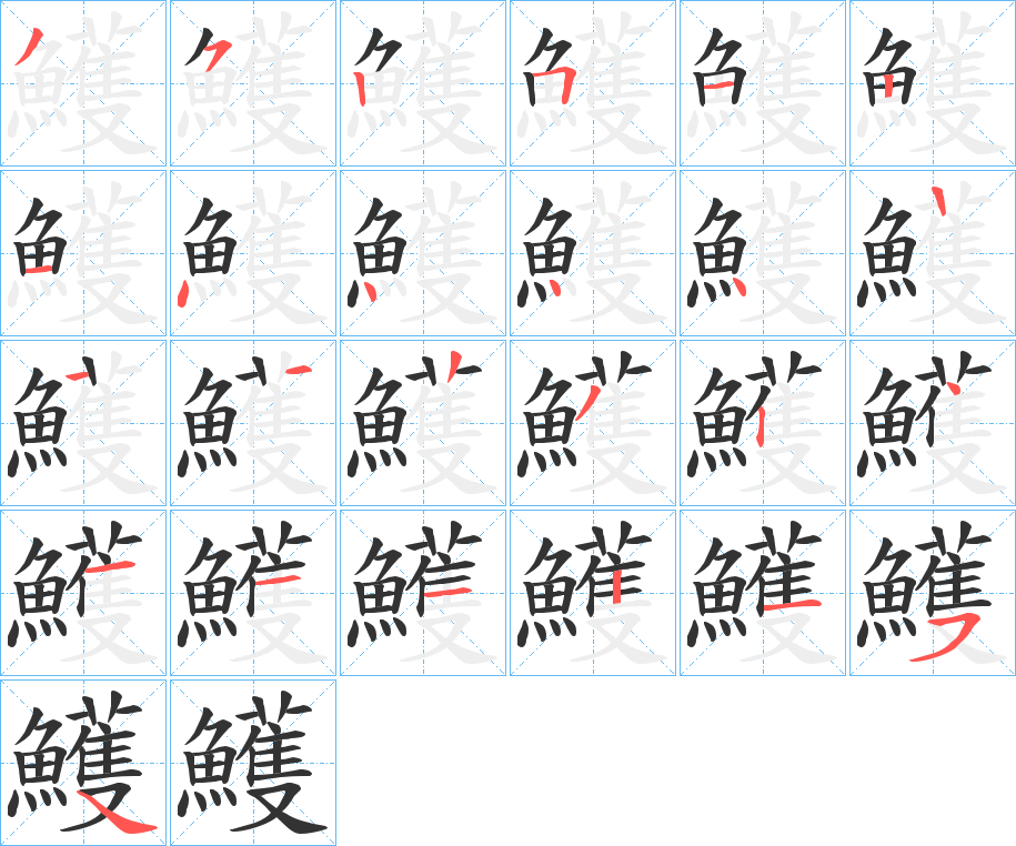 鱯字的笔顺分布演示