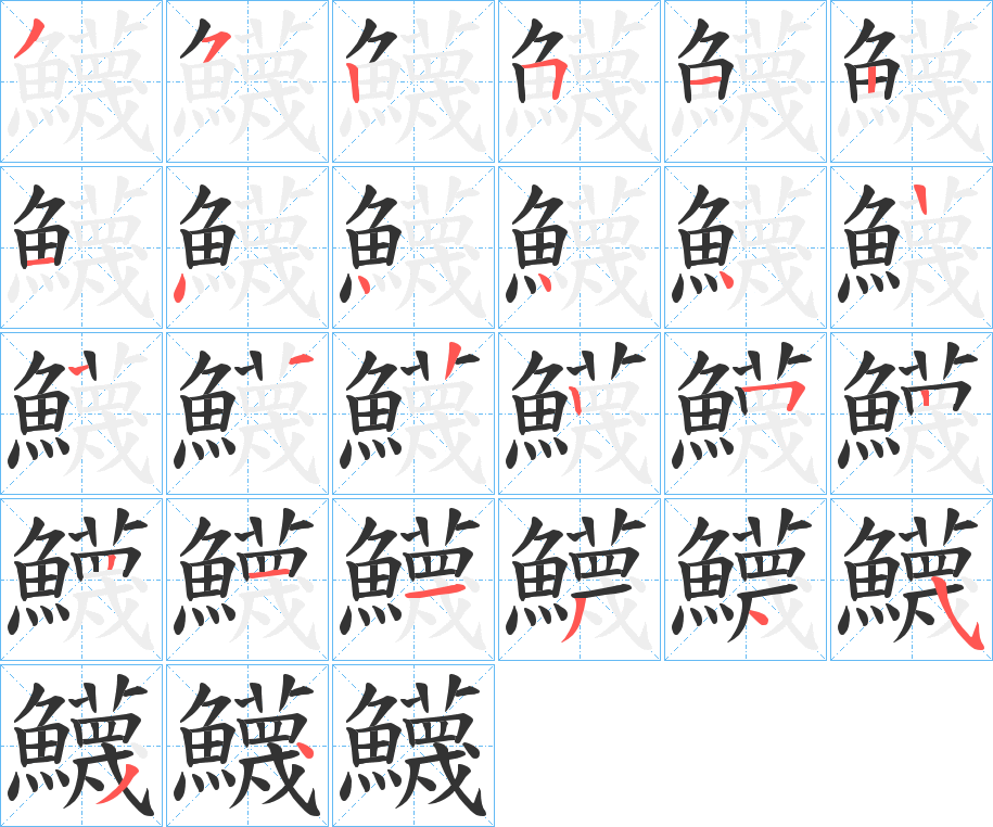 鱴字的笔顺分布演示