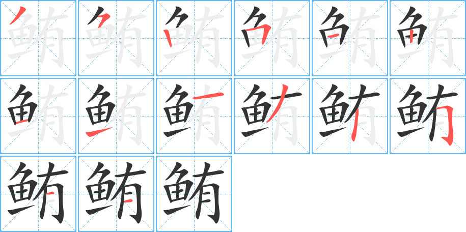 鲔字的笔顺分布演示